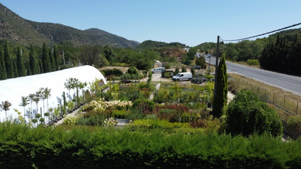 Vente-plantes-arbres-fruitiers-jardin-pépinière-conflent-Vinça-fleurs-saison-aménagement-Occitanie