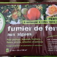 pépinière-vinça-vente-plante-arbres-jardin-fruitiers-fleurs-saison-occitanie