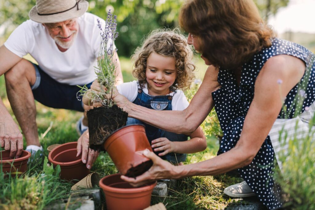 pépinière-vinça-vente-plante-arbres-jardin-fruitiers-fleurs-saison-occitanie