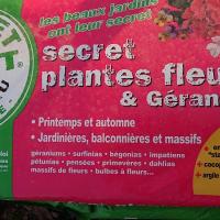 pépinière-vinça-vente-plante-arbres-jardin-fruitiers-fleurs-saison-occitanie