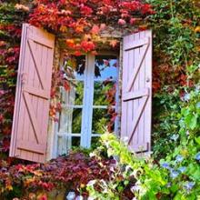 pépinière-vinça-vente-plante-arbres-jardin-fruitiers-fleurs-saison-occitanie